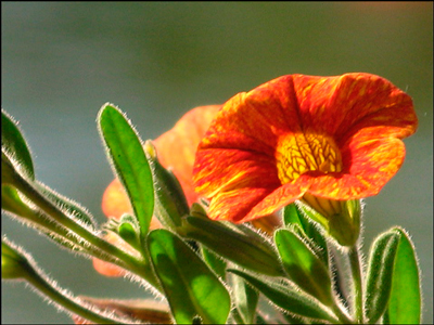 Mediterranes Flair im LIDO am Staffelsee